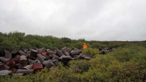 radar-site-before-clean-up